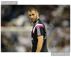 多伦多蓝鸟队传奇投手罗伊·哈勒戴入选名人堂